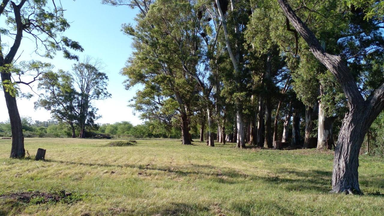 Los Arboles, Casa Completa A 5 Minutos Del Aeropuerto Ezeiza Buitenkant foto