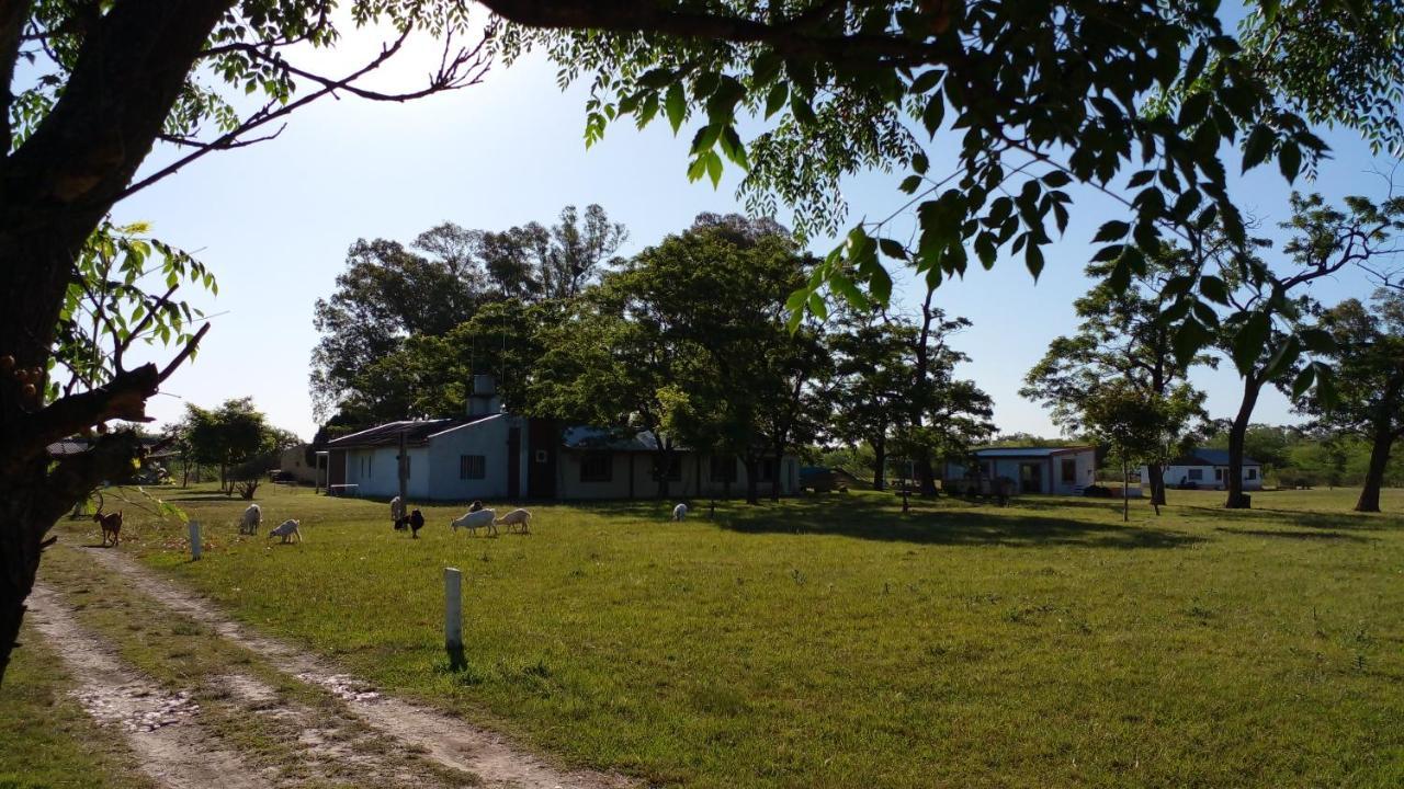 Los Arboles, Casa Completa A 5 Minutos Del Aeropuerto Ezeiza Buitenkant foto